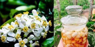 Hoa bưởi tháng 3: Cách làm hoa bưởi ngâm mật ong chữa “bách bệnh”