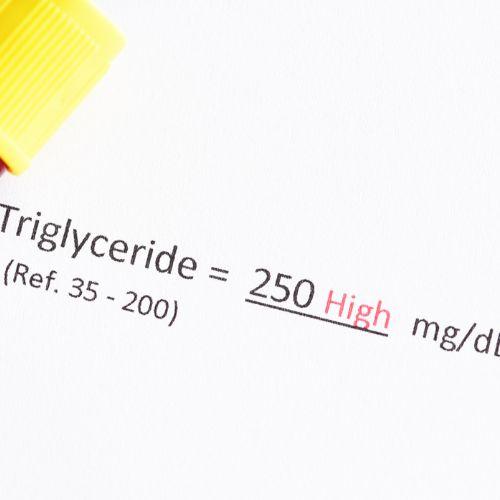 Triglyceride tăng cao sẽ ảnh hưởng đến quá trình lưu thông máu và tác động xấu đến sức khỏe (Nguồn: Internet)