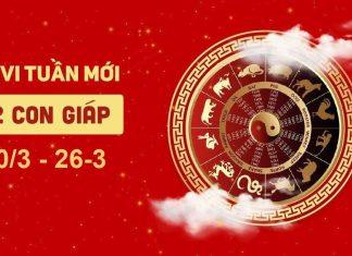 Tử vi tuần mới 12 con giáp 20/3-26/3: Tý đào hoa, Dần nghèo khó, Mùi thăng tiến