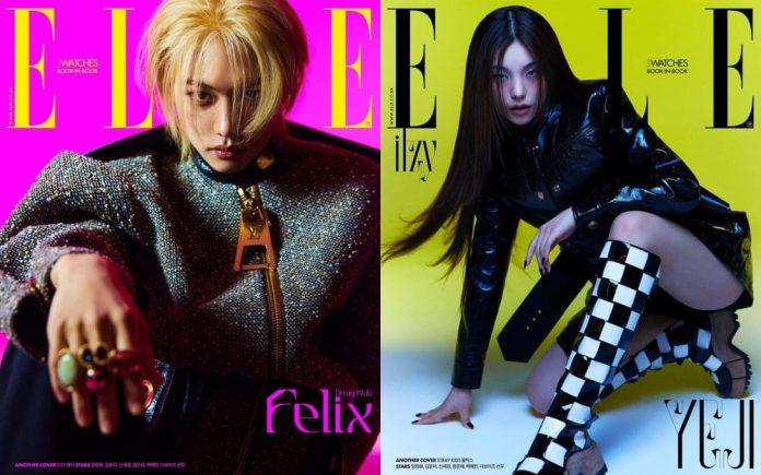 Hai thần tượng nhà JYP cùng lên trang bìa tạp trí Elle (nguồn: internet)