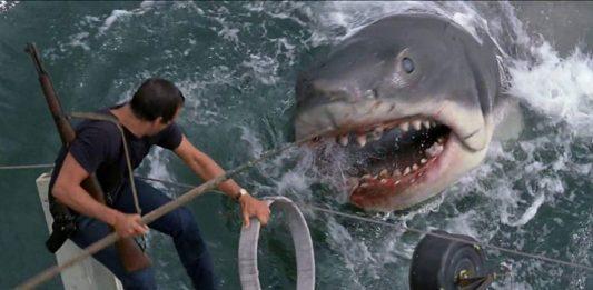 Jaws (Ảnh: Internet)