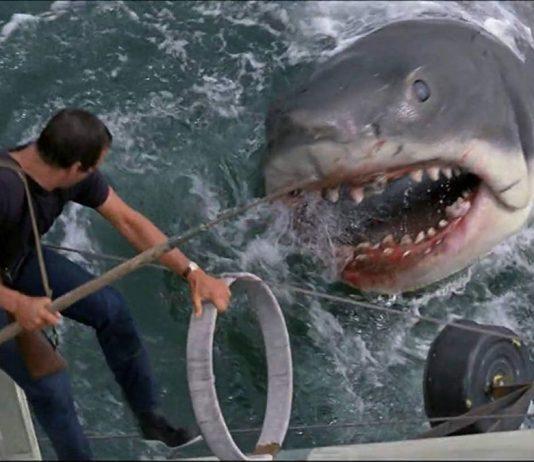 Jaws (Ảnh: Internet)