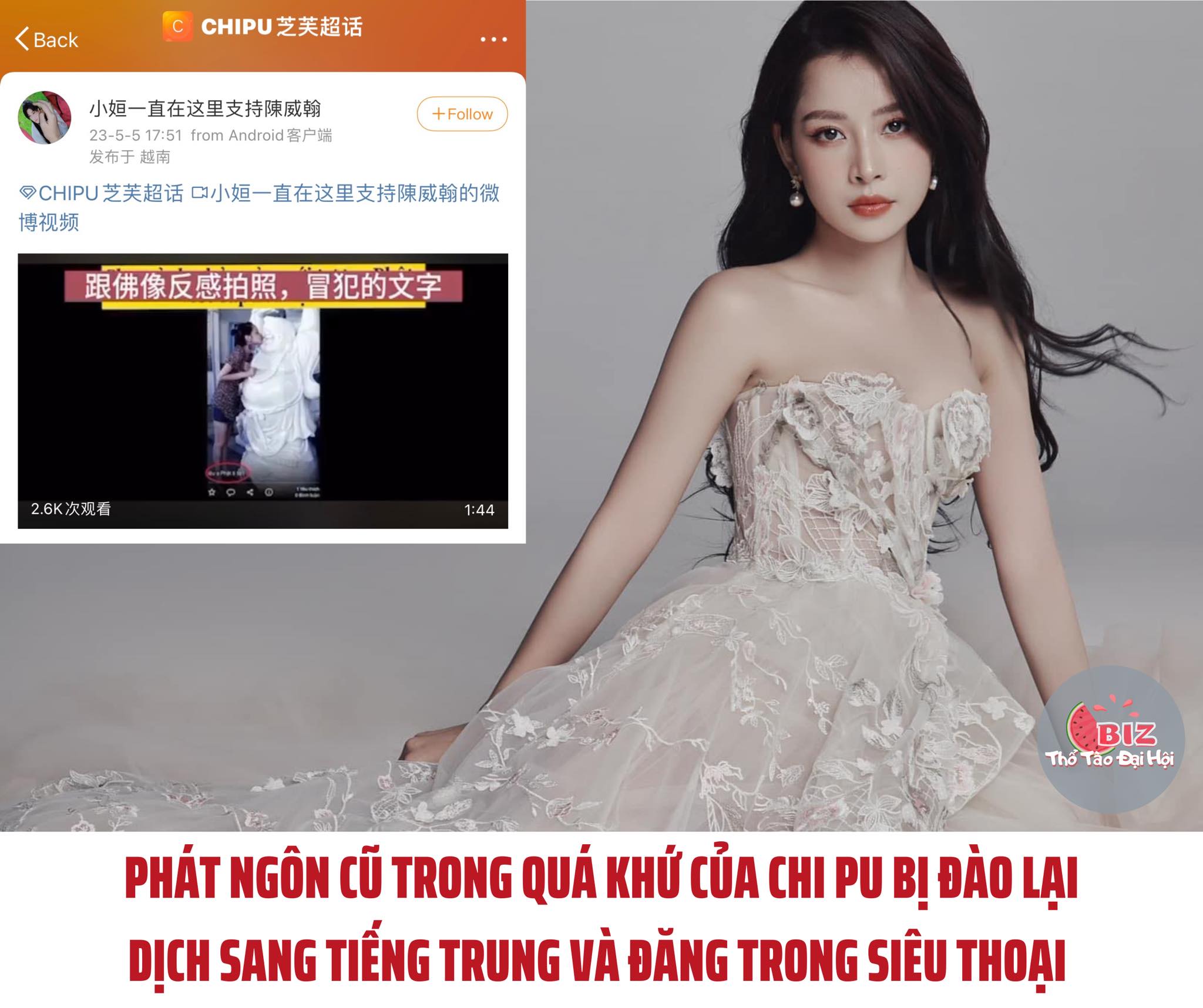 Netizen Việt Nam sang Weibo "bóc phốt" Chipu (Ảnh: Internet)