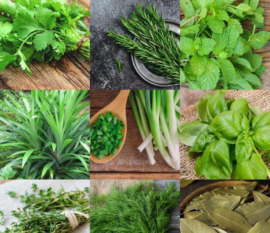 10 loại gia vị thông dụng có nguồn gốc từ lá tốt cho sức khỏe, bạn đã biết chưa?