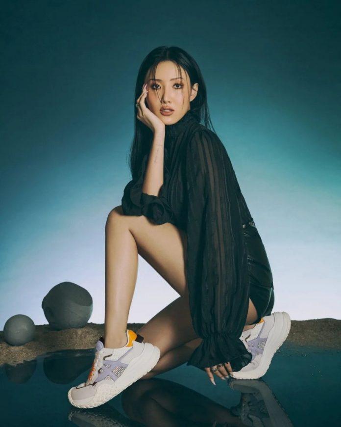 Hwasa (Ảnh: Internet)