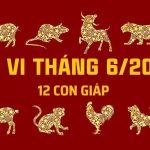 Tử vi 12 con giáp tháng 6/2023: Tý, Sửu, Mão, Ngọ chú ý họa thị phi