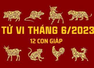Tử vi 12 con giáp tháng 6/2023: Tý, Sửu, Mão, Ngọ chú ý họa thị phi