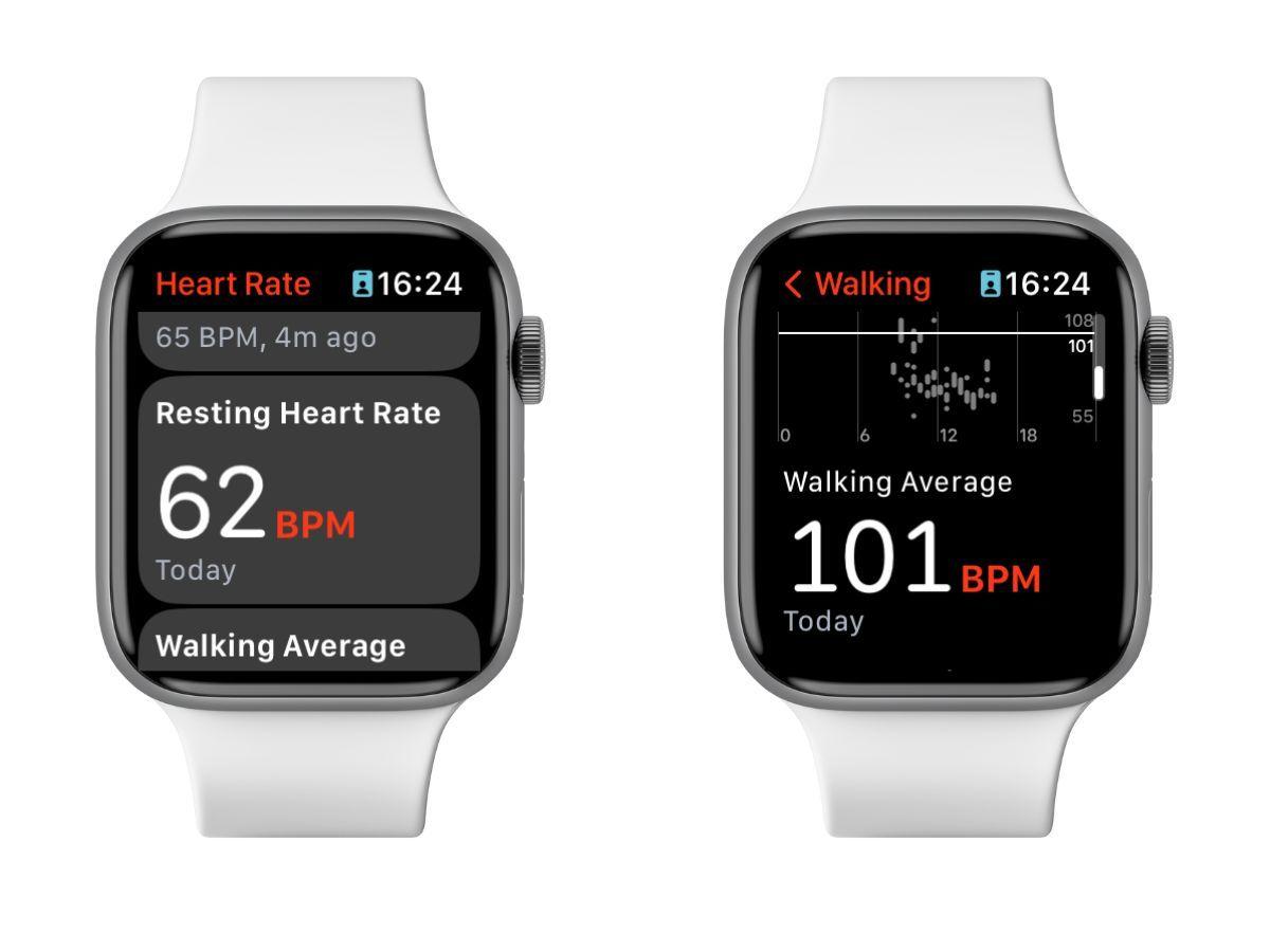 Apple Watch đo nhịp tim của người dùng (Ảnh: Internet)