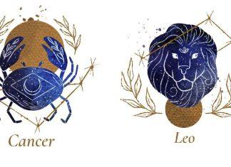 6 cặp đôi cung hoàng đạo là đồng nghiệp tốt nhất nơi công sở