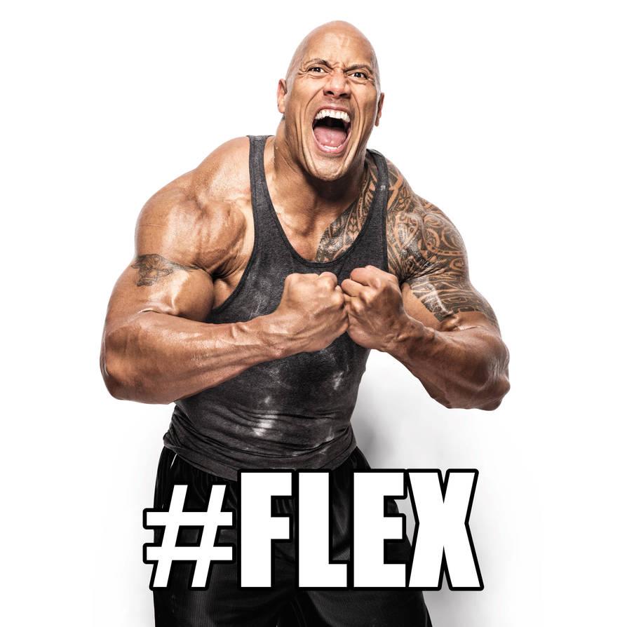 Flex là gì? (Ảnh: Internet)