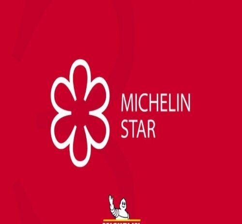 michelin ( nguồn internet)