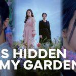 lies hidden in my garden(Ảnh Internet)