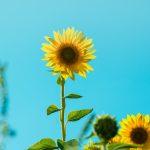 Sống chậm đi để nhìn lại và suy ngẫm. (Nguồn: Internet)