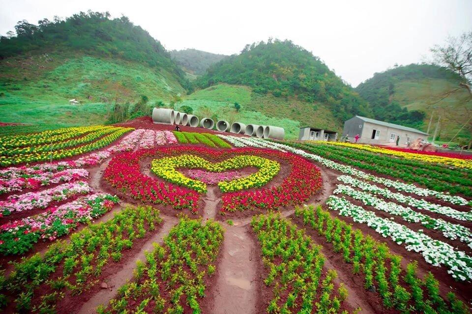 Mộc Châu Happy Land (Nguồn: Internet)