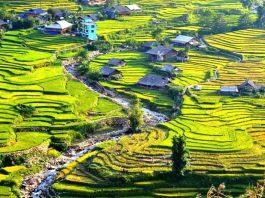 Những địa điểm du lịch mà bạn nhất định phải ghé thăm khi đến Sa Pa – Lào Cai Sa Pa (Nguồn: Internet)