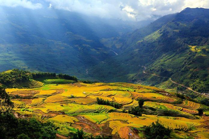 Thung Lũng Mường Hoa (Nguồn: Internet)
