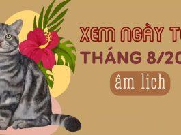 Xem ngày đẹp tháng 8/2023: Ngày tốt tháng 8/2023 cho từng việc cụ thể (Ảnh: Internet)