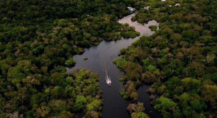 Rừng mưa Amazon - nguồn: Internet