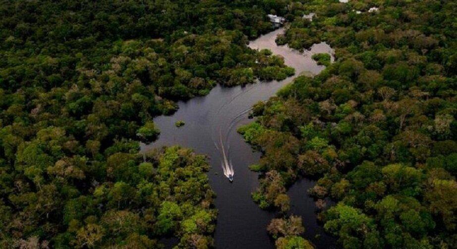 Rừng mưa Amazon - nguồn: Internet