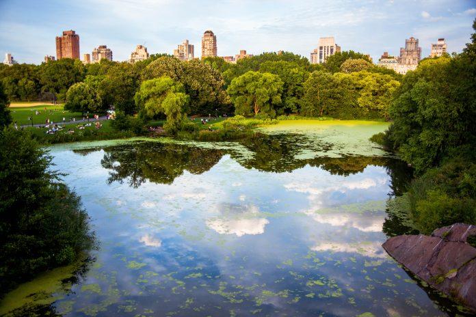 Công viên Central Park là địa điểm du lịch yêu thích của nhiều người – Nguồn: Internet