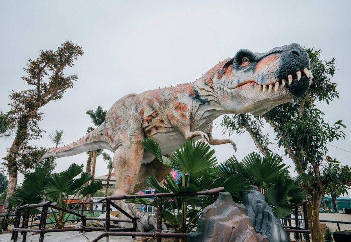 Tham quan thế giới khủng long lớn nhất Việt Nam (Nguồn: Internet)