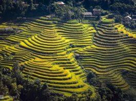 Hoàng Su Phì (Nguồn: Internet)