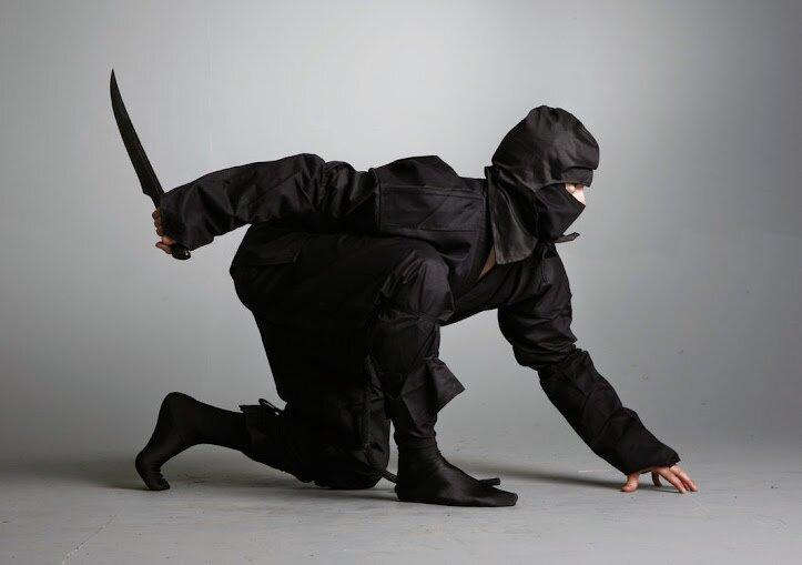 Đề tài về Ninja cũng được khai thác nhiều trên màn ảnh + Nguồn: internet