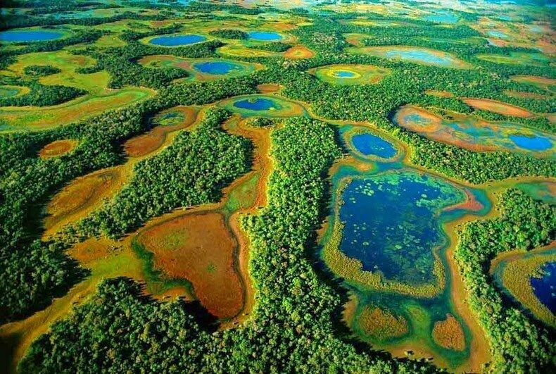 Pantanal - nguồn: Internet