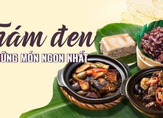 Quả trám đen là gì? 10 món ngon từ trám đen, ngâm tương, kho thịt ngon “bá cháy”