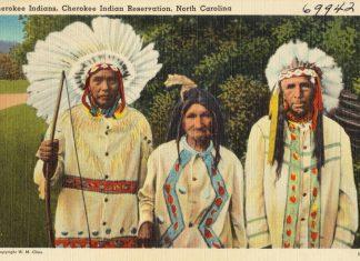 Hãy chôn trái tim tôi ở Wounded Knee