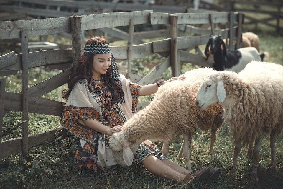 Trang trại cừu du mục (Nguồn: Internet)