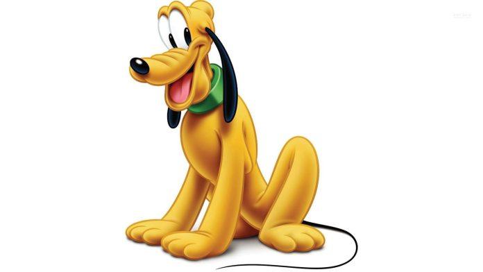 Chú chó Pluto nổi tiếng (Ảnh: Internet)