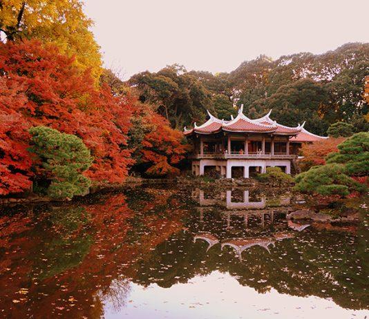 Vườn Quốc gia Shinjuku Gyoen