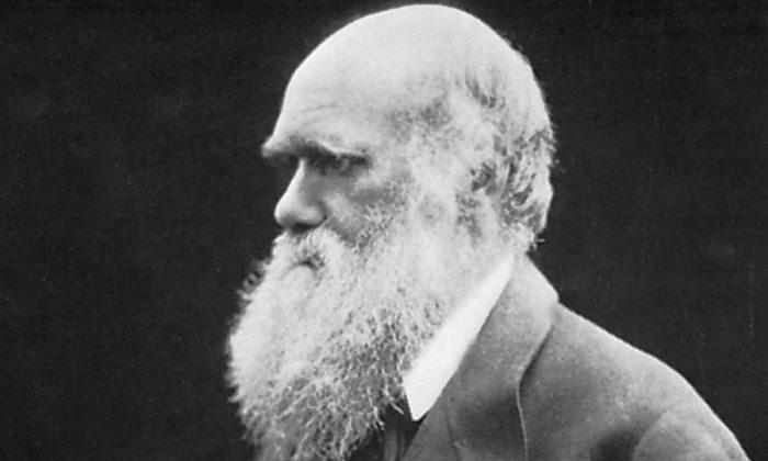 Charles Darwin, nhà tự nhiên học người Anh