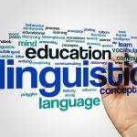 Học ngôn ngữ gì khi bạn đã giỏi tiếng Anh?