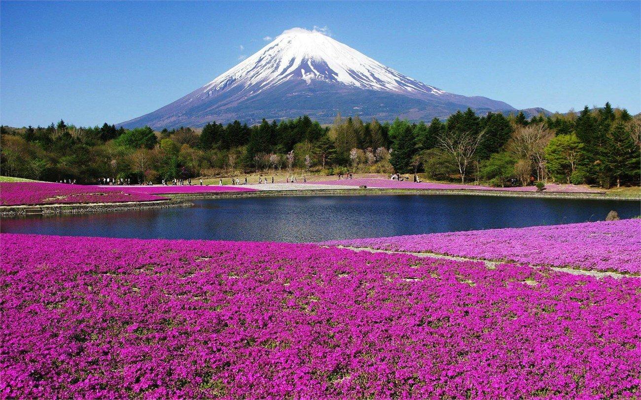 Núi Phú Sĩ - biểu tượng của Nhật Bản (Ảnh: Internet)