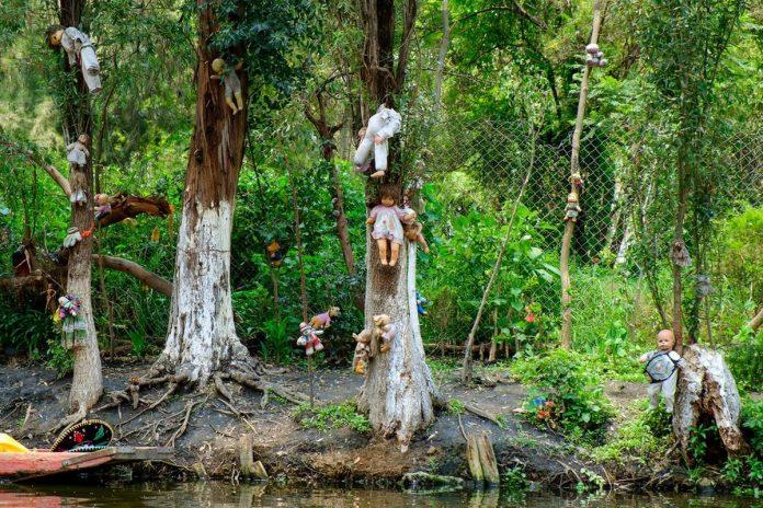 Khu rừng tự sát Aokigahara