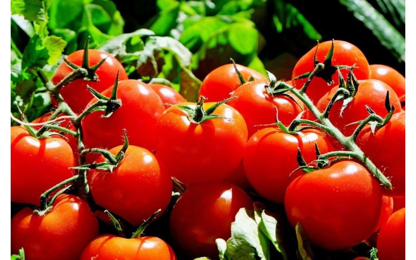 Không nên ăn quá nhiều cà chua (Nguồn: Internet)