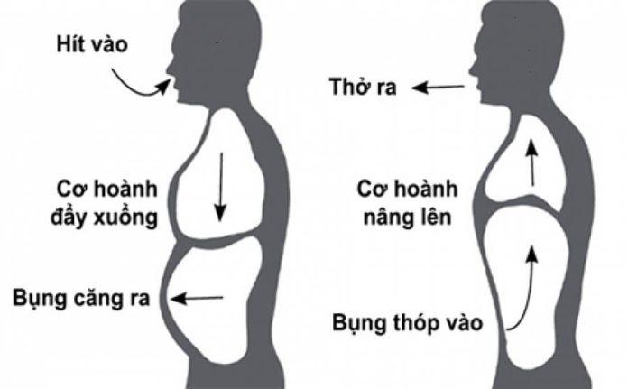 Thở bằng bụng (Nguồn: Internet)