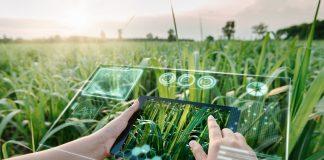 Nông nghiệp công nghệ cao ứng dụng AI (Ảnh: Internet)