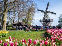 Vườn hoa Keukenhof - Hà Lan