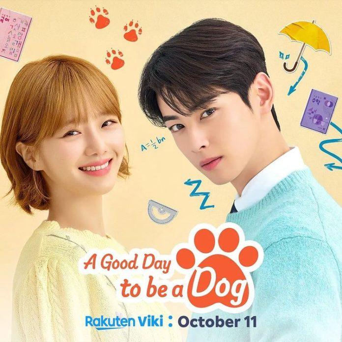 Poster phim A Good Day To Be A Dog (Ảnh: Internet)
