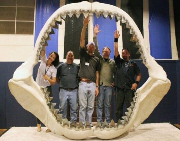 10 sự thật thú vị về Megalodon - loài cá mập khổng lồ đáng sợ thời cổ đại 10 sự thật thú vị về Megalodon ấn tượng bí ẩn BlogAnChoi cá mập khổng lồ khám phá khoa học lịch sử Megalodon sinh vật cổ đại sinh vật tiền sử thế giới thú vị Top 10