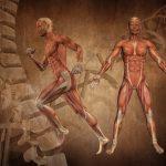 3D medical figure with muscle map on a grunge style DNA abstract background