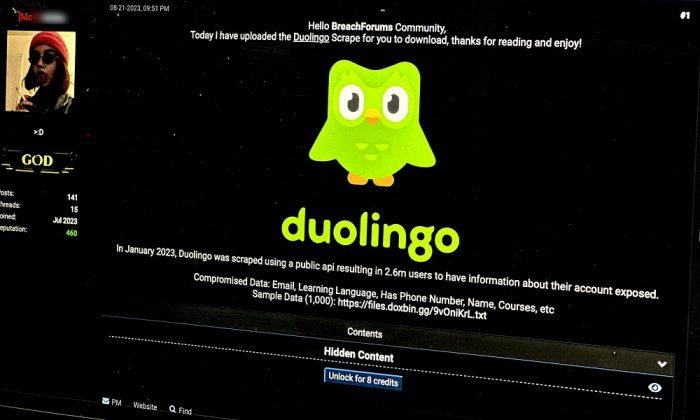 Dữ liệu của người dùng Duolingo bị lấy cắp và bán với giá rẻ (Ảnh: Internet)