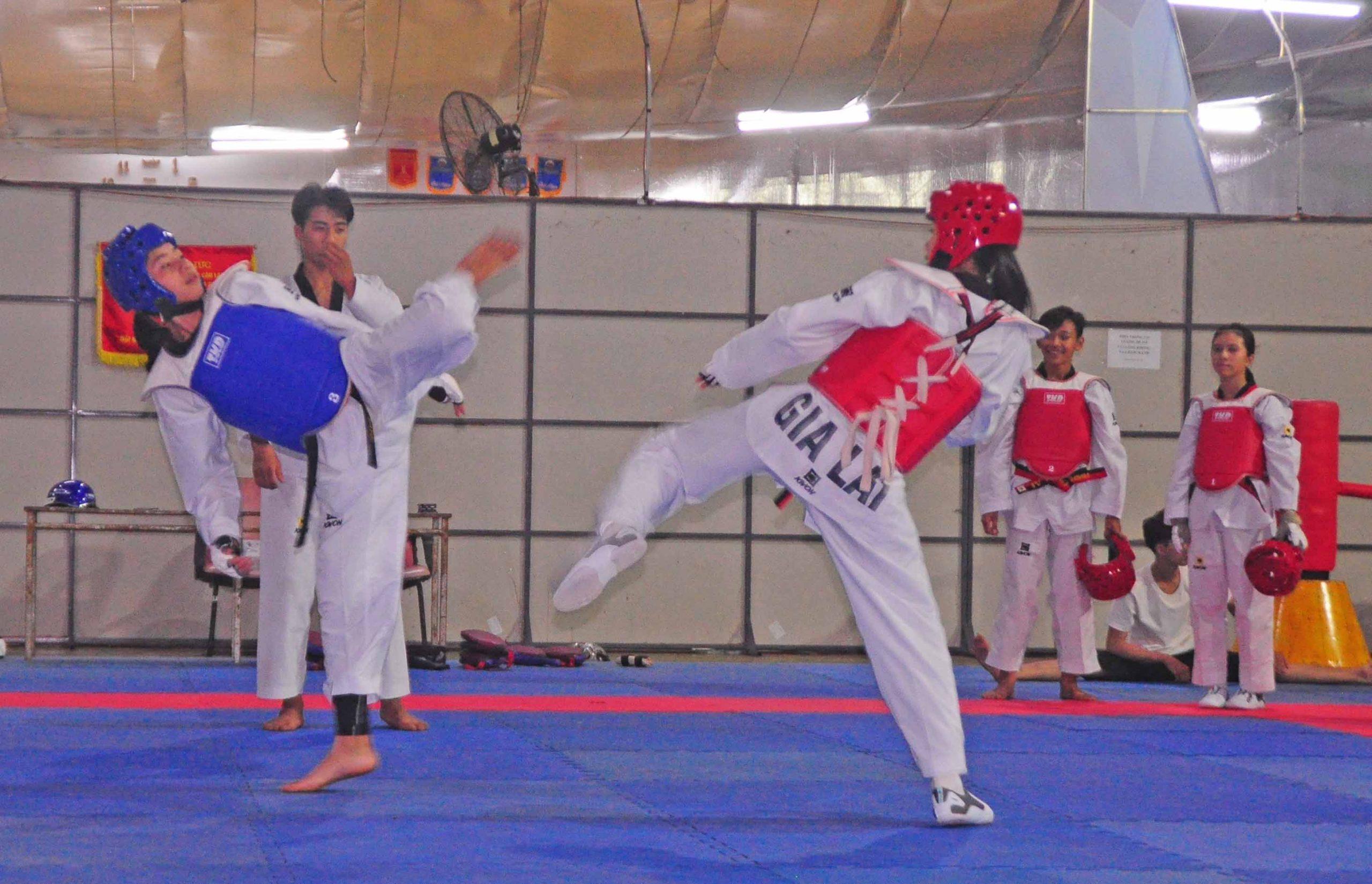 Giải đấu Taekwondo (Ảnh: Internet)