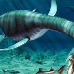 Những sinh vật huyền bí này có lẽ thực sự tồn tại (Ảnh: Internet)