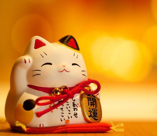 Mèo thần tài - Biểu tượng may mắn và tài lộc (ảnh: Internet)