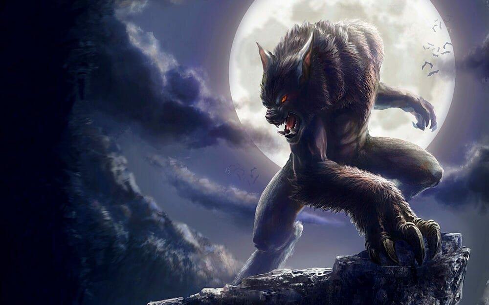 Người sói là một trong những sinh vật ma thuật nổi tiếng nhất thế giới (Ảnh: Internet)