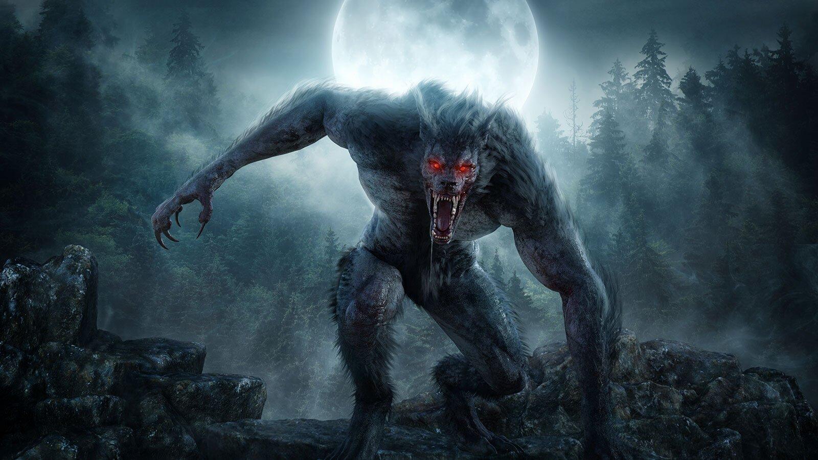 Người sói là một trong những sinh vật ma thuật nổi tiếng nhất thế giới (Ảnh: Internet)